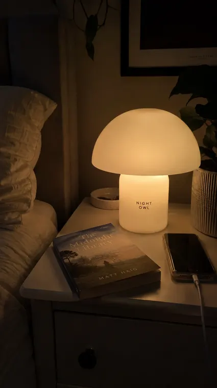 Home decor AI UGC reel: new lamp, NIGHT OWL glowing at night